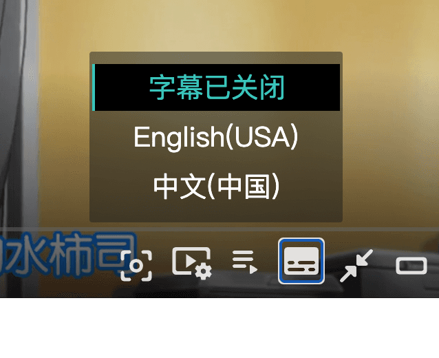 字幕切换